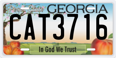 GA license plate CAT3716