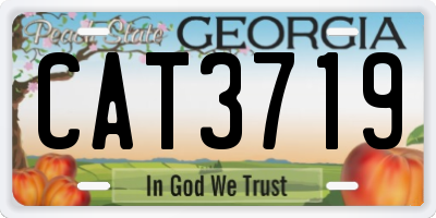 GA license plate CAT3719