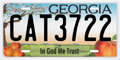 GA license plate CAT3722