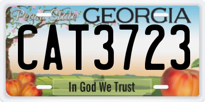 GA license plate CAT3723