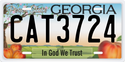 GA license plate CAT3724