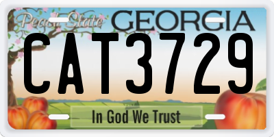 GA license plate CAT3729