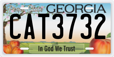 GA license plate CAT3732