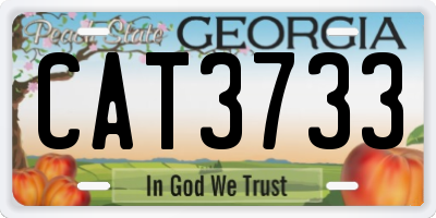 GA license plate CAT3733
