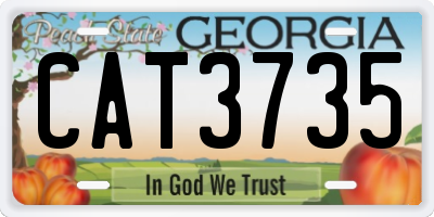 GA license plate CAT3735