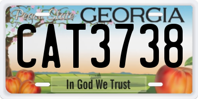 GA license plate CAT3738