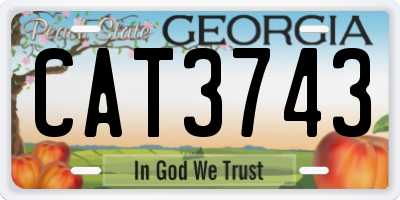 GA license plate CAT3743