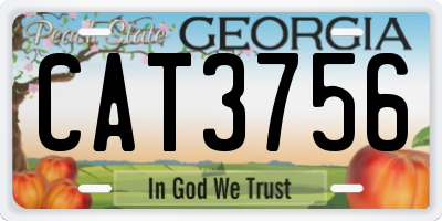 GA license plate CAT3756