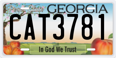 GA license plate CAT3781