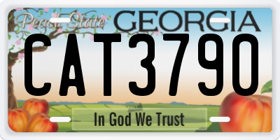 GA license plate CAT3790