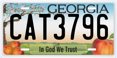 GA license plate CAT3796