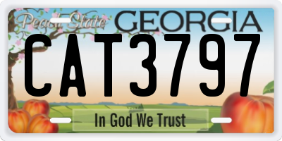 GA license plate CAT3797