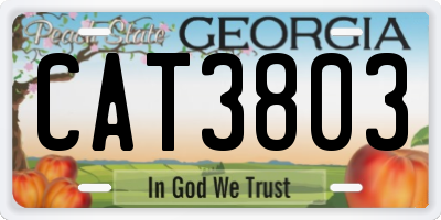 GA license plate CAT3803
