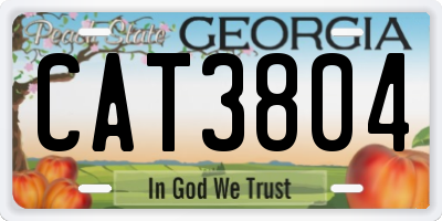 GA license plate CAT3804