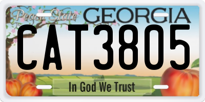 GA license plate CAT3805