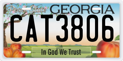 GA license plate CAT3806