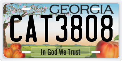 GA license plate CAT3808