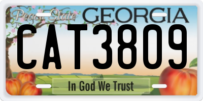 GA license plate CAT3809