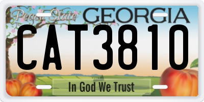 GA license plate CAT3810