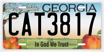 GA license plate CAT3817