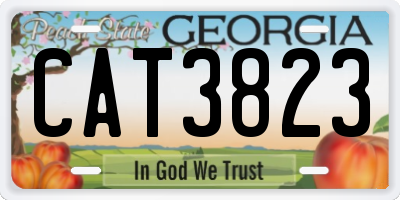 GA license plate CAT3823