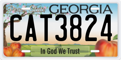 GA license plate CAT3824