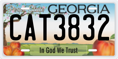 GA license plate CAT3832