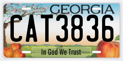 GA license plate CAT3836