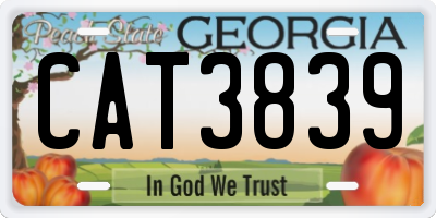 GA license plate CAT3839