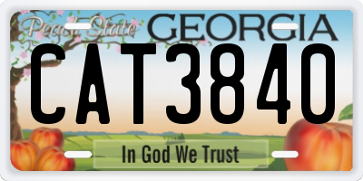 GA license plate CAT3840