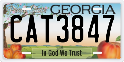 GA license plate CAT3847