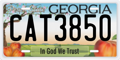 GA license plate CAT3850