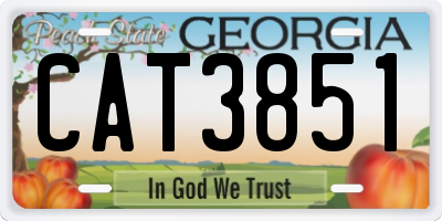 GA license plate CAT3851