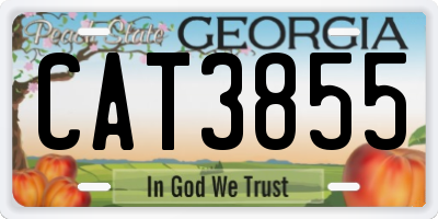 GA license plate CAT3855
