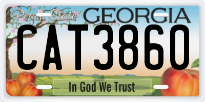 GA license plate CAT3860