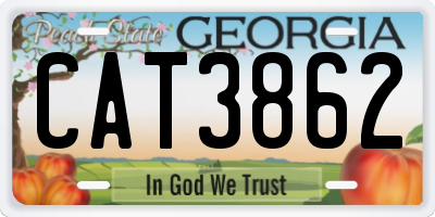 GA license plate CAT3862
