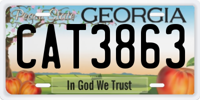 GA license plate CAT3863