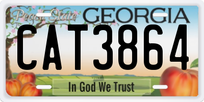 GA license plate CAT3864
