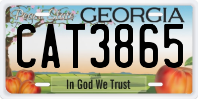 GA license plate CAT3865