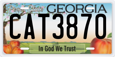 GA license plate CAT3870