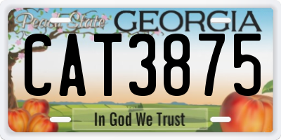 GA license plate CAT3875