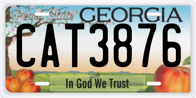 GA license plate CAT3876