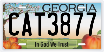 GA license plate CAT3877