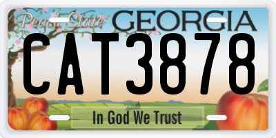 GA license plate CAT3878