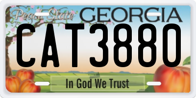 GA license plate CAT3880
