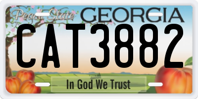 GA license plate CAT3882