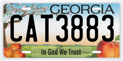 GA license plate CAT3883