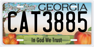 GA license plate CAT3885