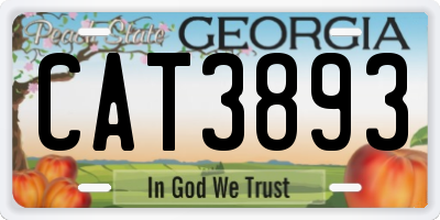 GA license plate CAT3893