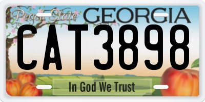 GA license plate CAT3898
